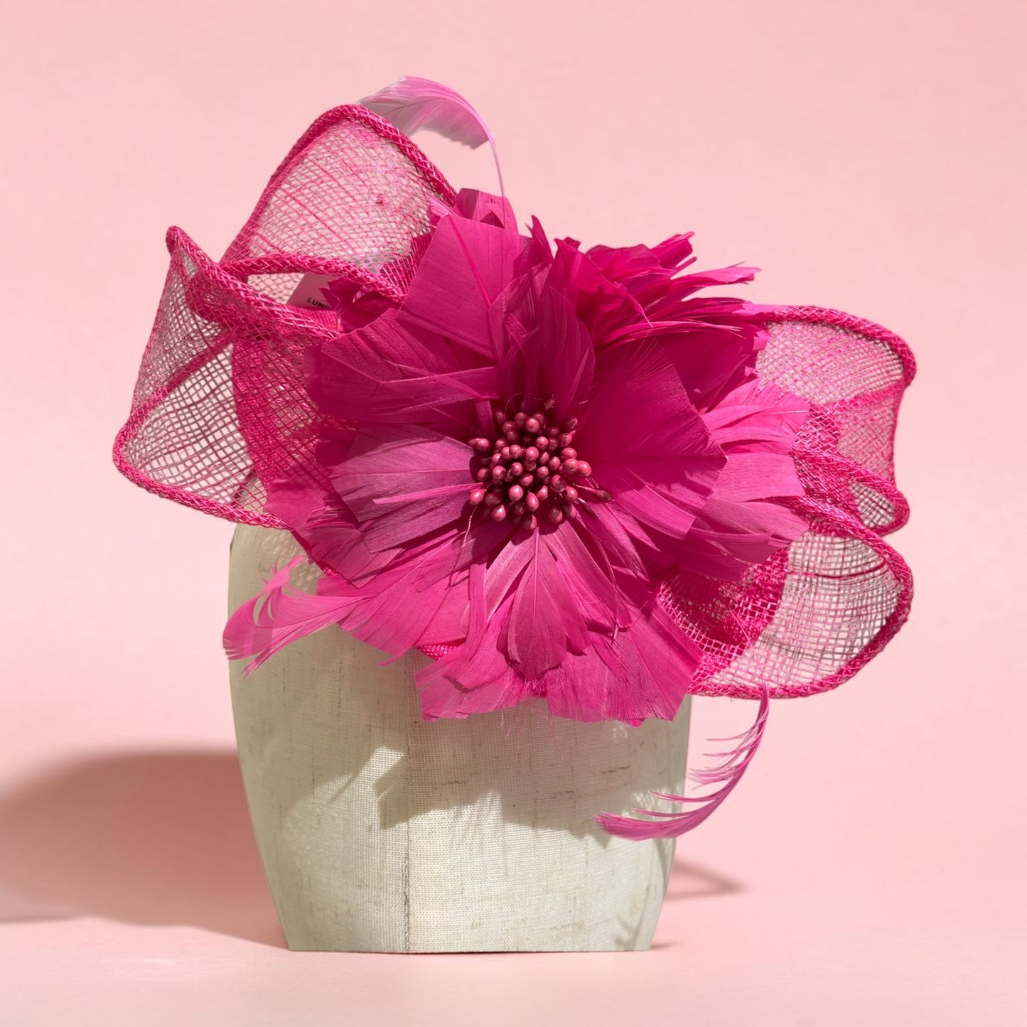 Small Cute Flower Feather Fascinator with Headband L6100